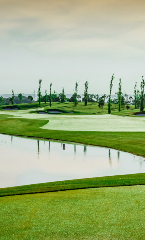 La Moraleja Trayectoria Internacional