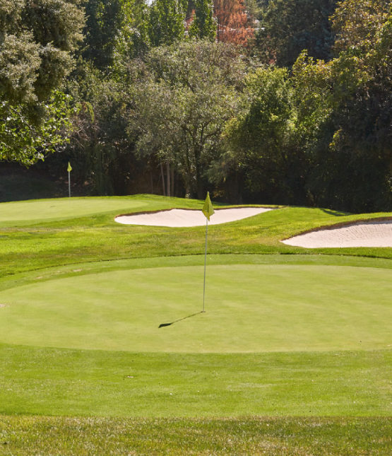 Real Club La Moraleja Pitch&Putt